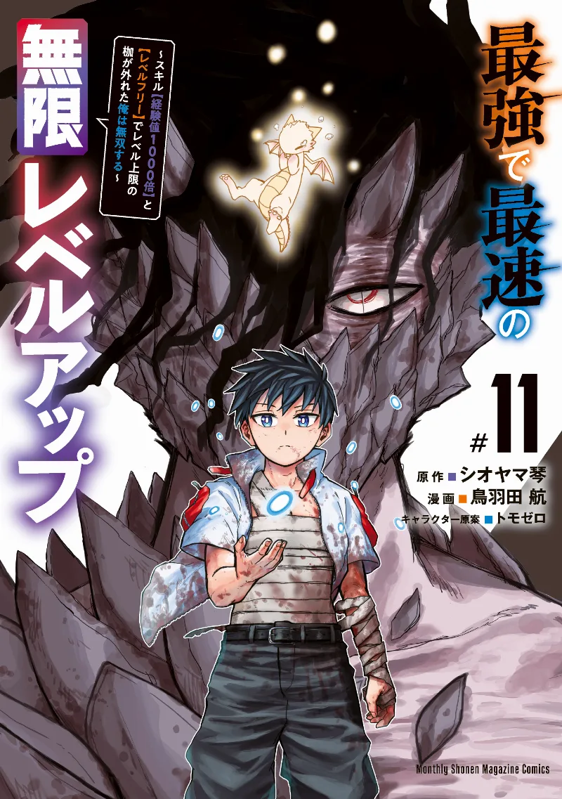 Volume 11