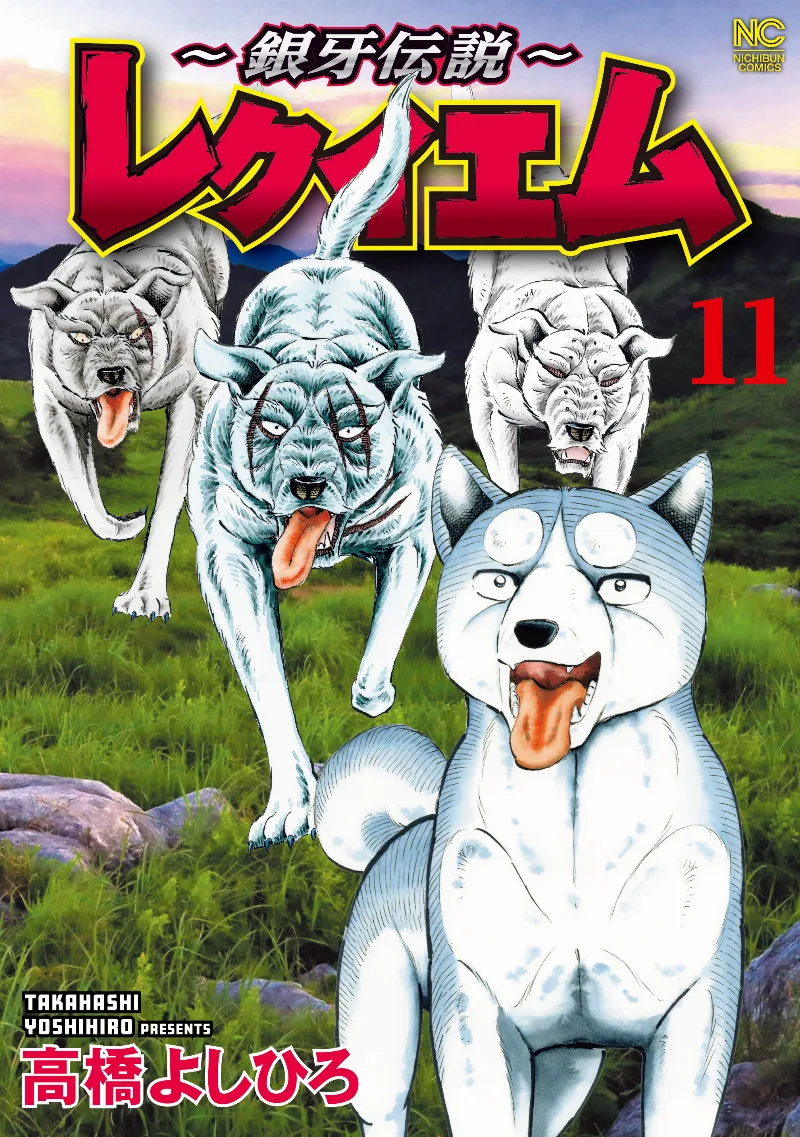 Volume 11