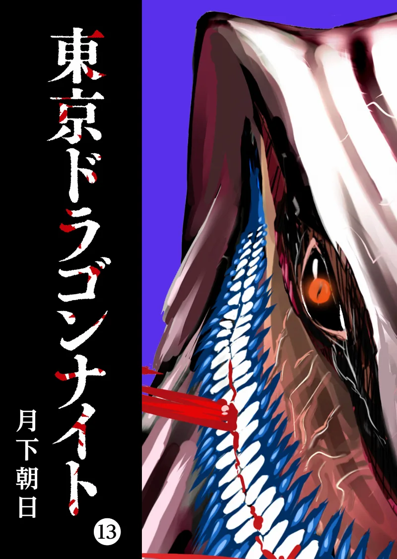 Volume 13