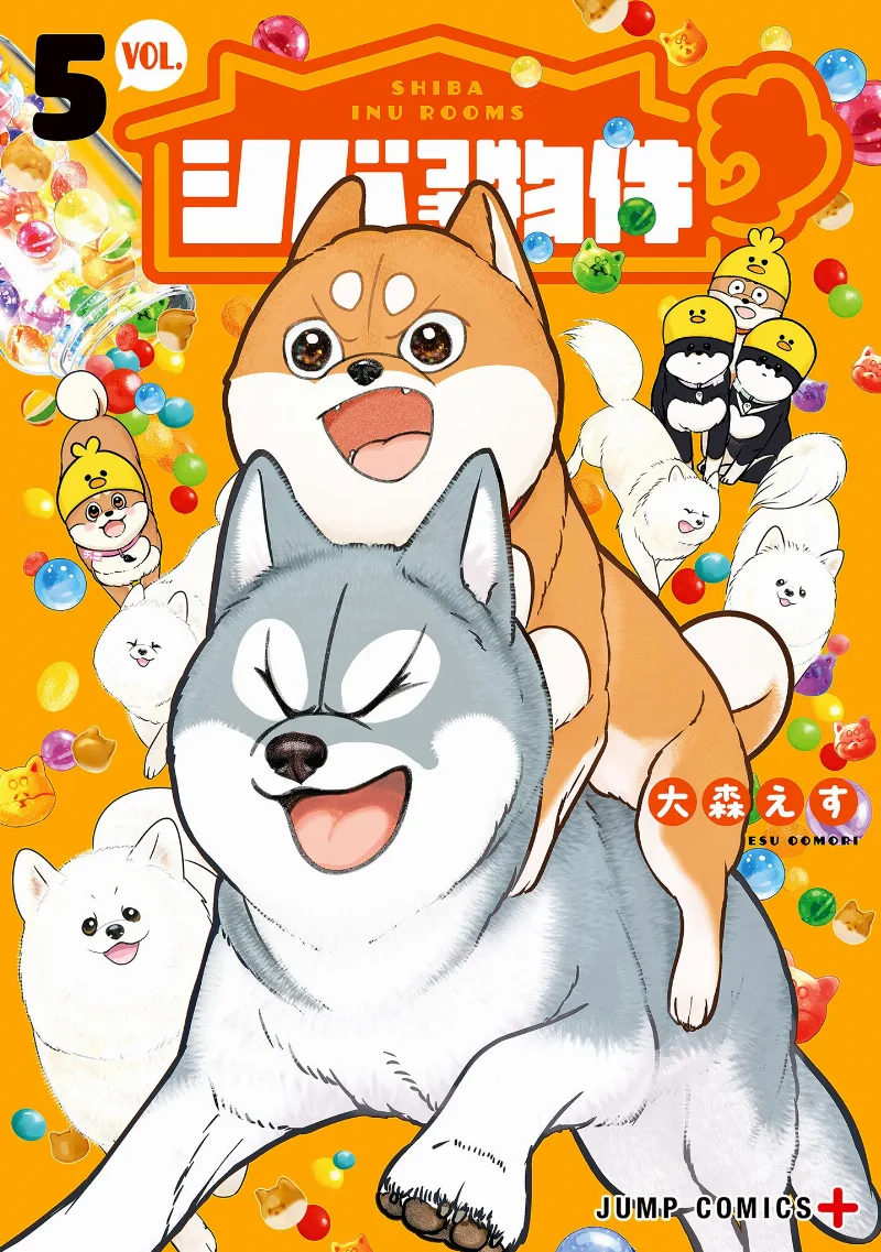 Volume 05