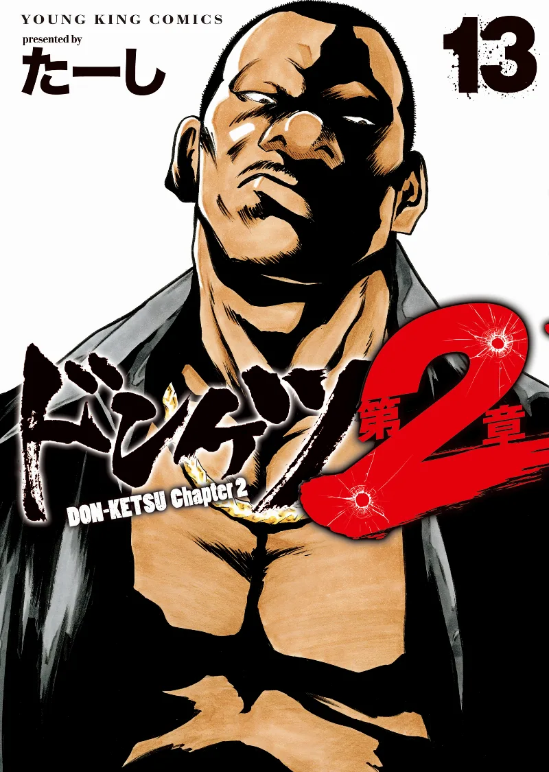Volume 13