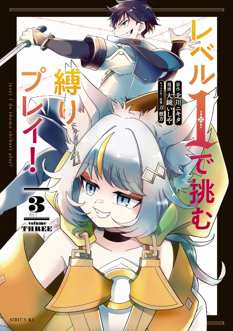 Volume 03