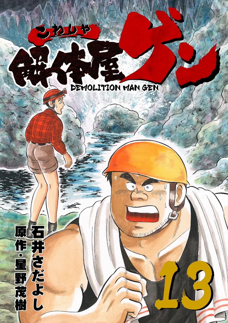 Volume 13