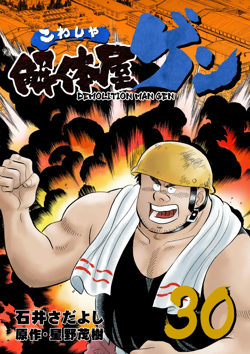 Volume 30