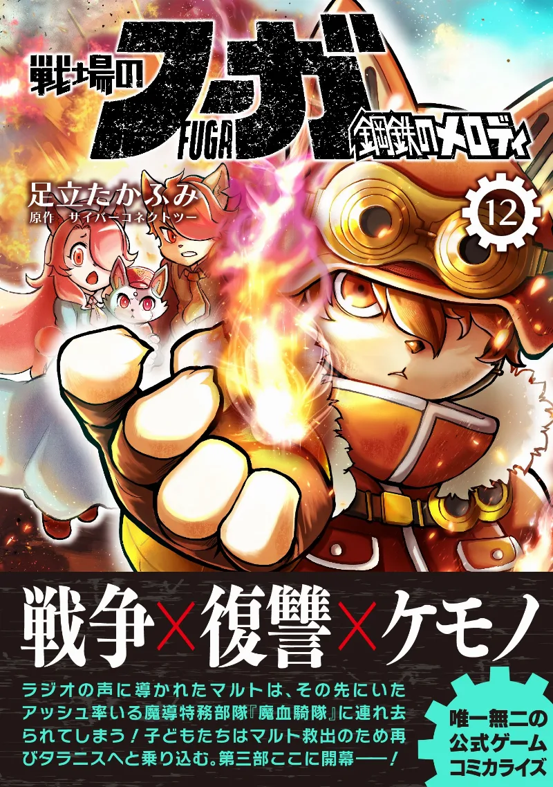 Volume 12