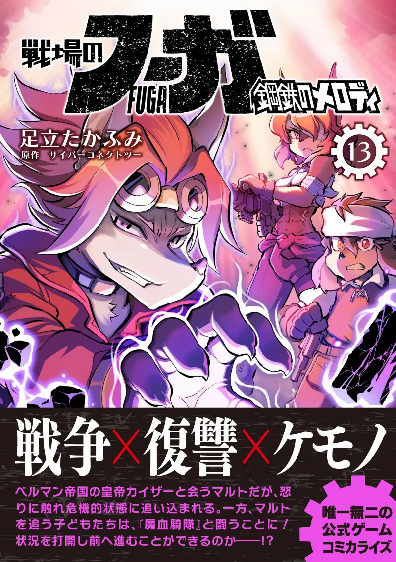 Volume 13