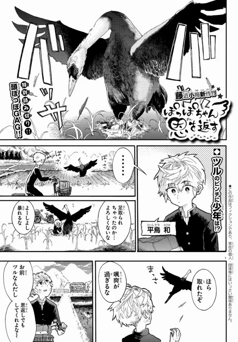 Volume 01