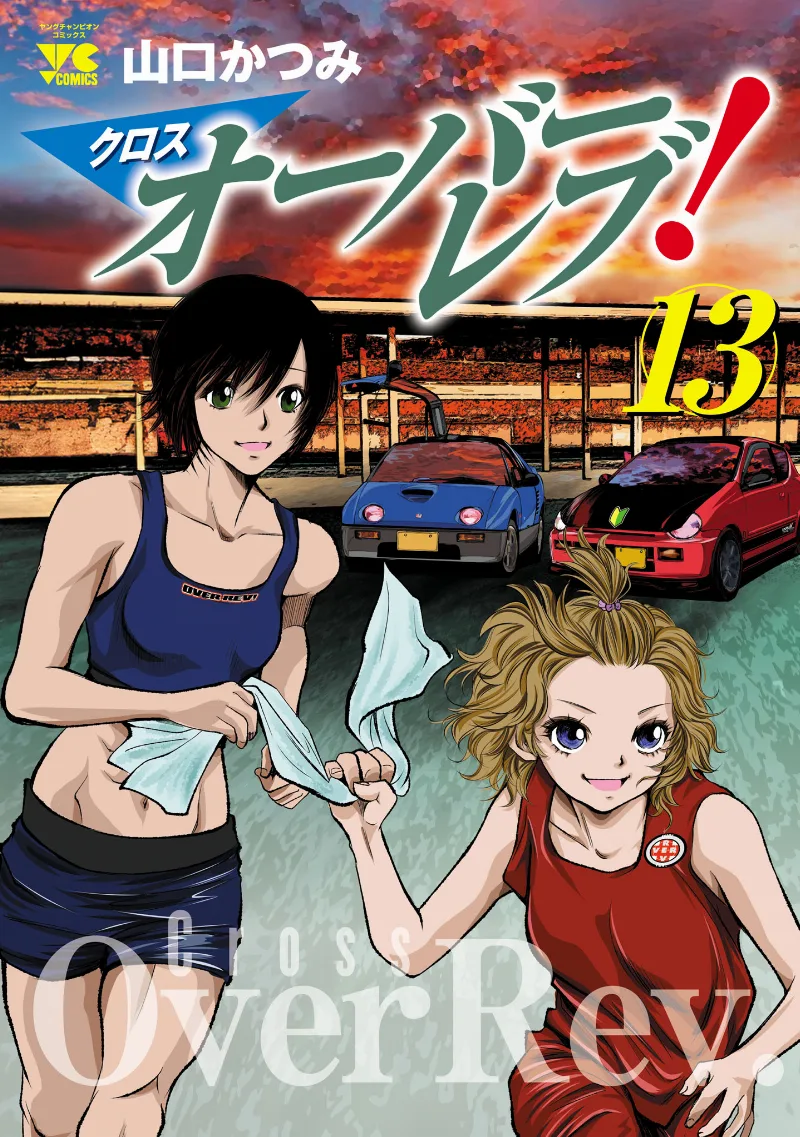 Volume 13
