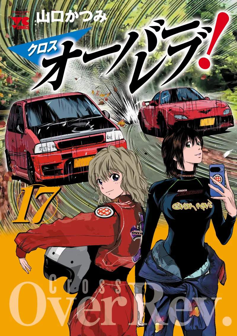 Volume 17