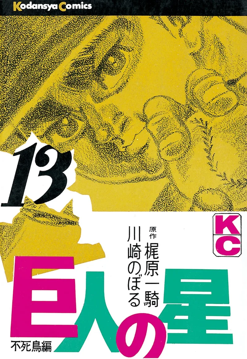 Volume 13