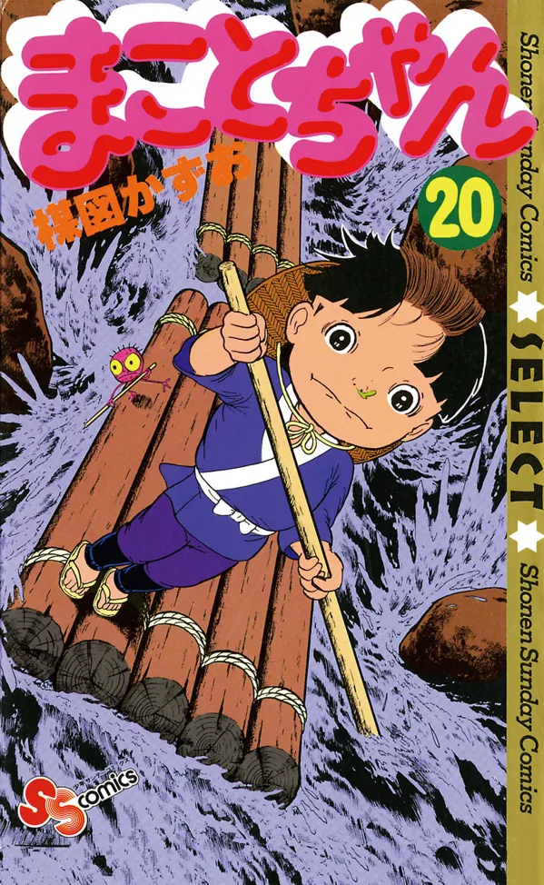 Volume 20