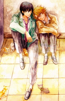 Shinjitsu no Kimi wo Tsukamaetai - Of Montage