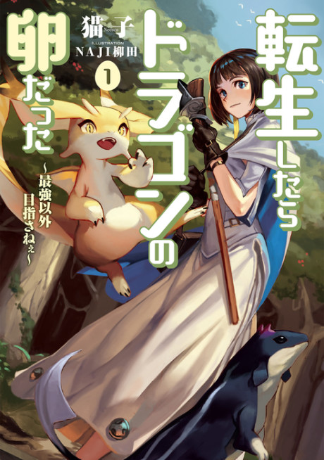 Tensei Shitara Dragon no Tamago Datta: Saikyou Igai Mezasa Nee (Novel)