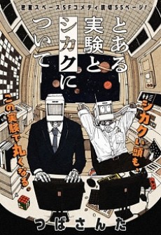 To aru Jikken to Shikaku ni Tsuite