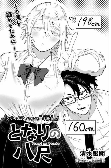 Tonari no Yasawa