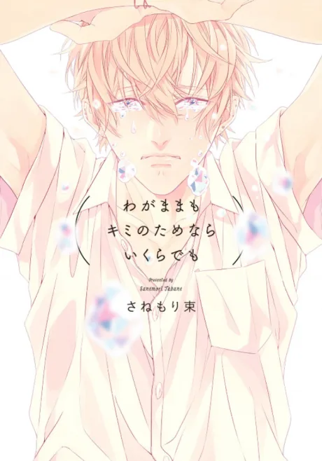 Wagamama mo Kimi no Tame Nara Ikura demo