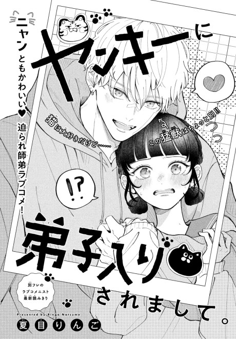 Yankee ni Deshiiri Saremashite.