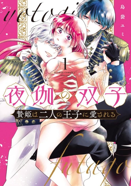 Yotogi no Futago: Niehime wa Futari no Ouji ni Aisareru