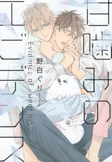 Amagami no Evidence
