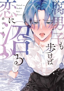 Fudanshi mo Arukeba Koi ni Numaru