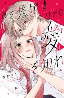 Mi wo Kogasu hodo no Ai wo Shire