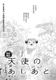 Tenshi no Ashiato