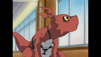 E02 - Digimon, Digimon em Todo Lugar