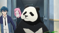 E03 - Miaowu