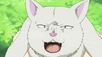 E02 - Handa-kun e a Continuação do Episódio 1 / Handa-kun e o Diretor / Handa-kun e th