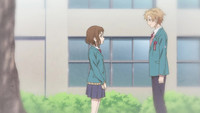 E01 - Primavera, Primeiro Amor, Cor das Flores de Cerejeira