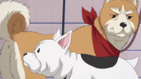 E01 - Homem do Passado: Eu Sou Oda Cinnamon Nobunaga!?