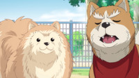 E03 - Senhores Caninos e a Batalha de Okehazama Retorna?