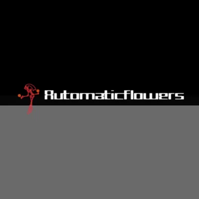 Automatic Flowers Studio